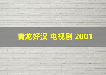 青龙好汉 电视剧 2001